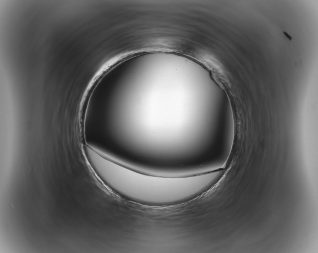 X0000087551192200704271203