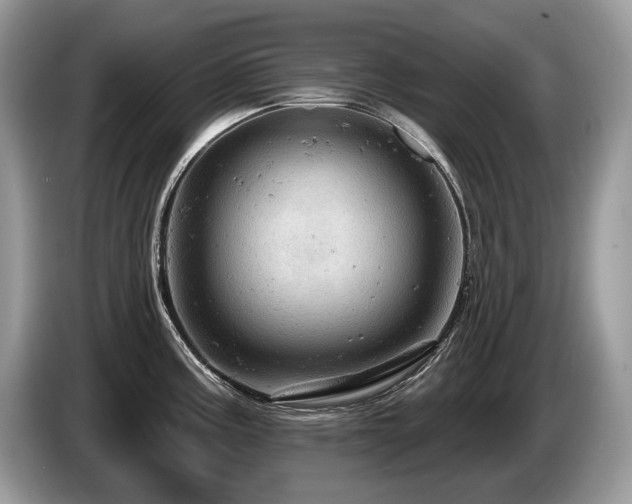 X0000087551195200704271203