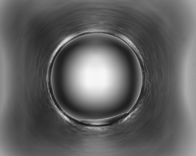 X0000087551197200704271203