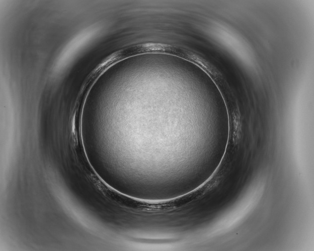 X0000087551198200704271203