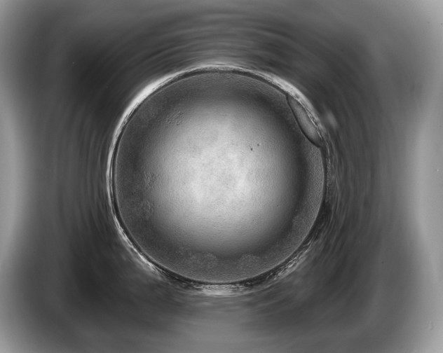 X0000087551199200704271203