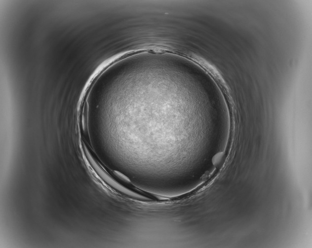 X0000087551200200704271203