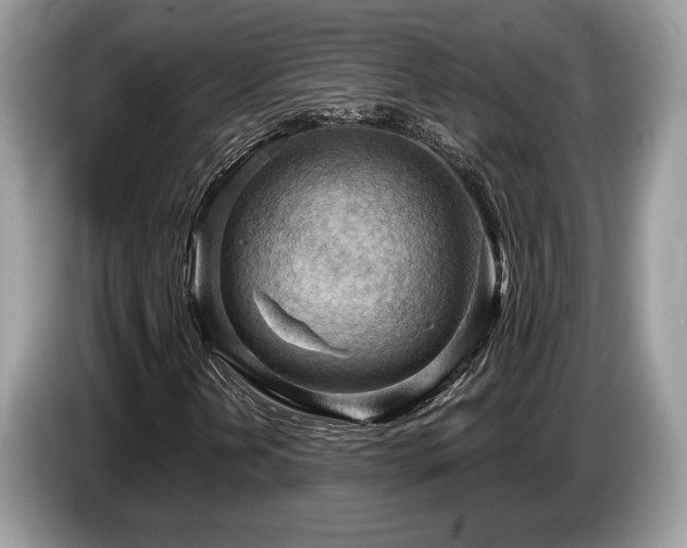 X0000087551202200704271202