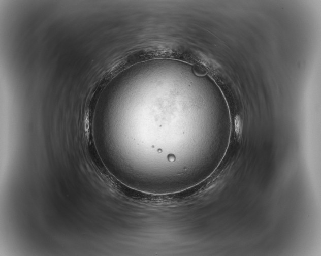 X0000087551203200704271202