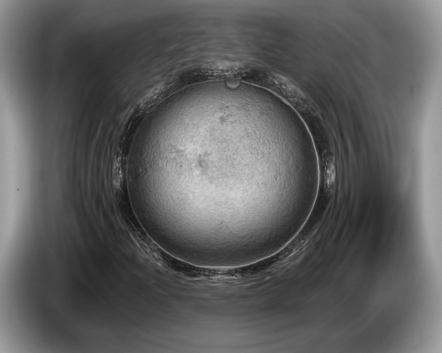 X0000087551204200704271202
