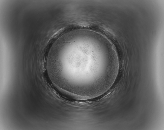 X0000087551205200704271202