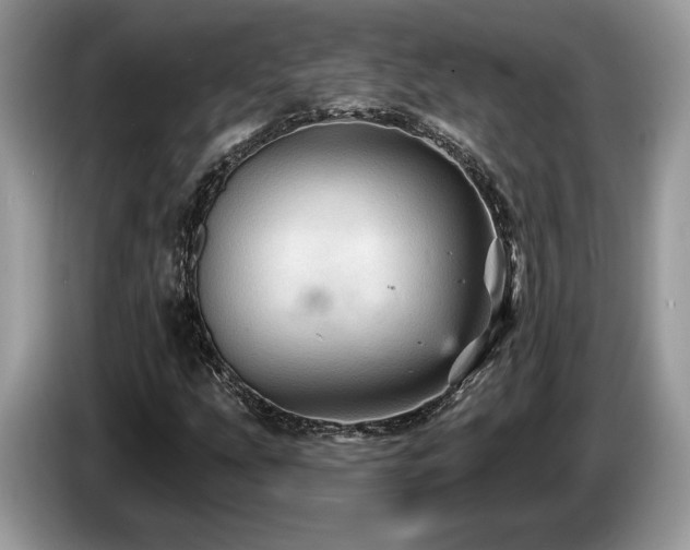 X0000087551207200704271202