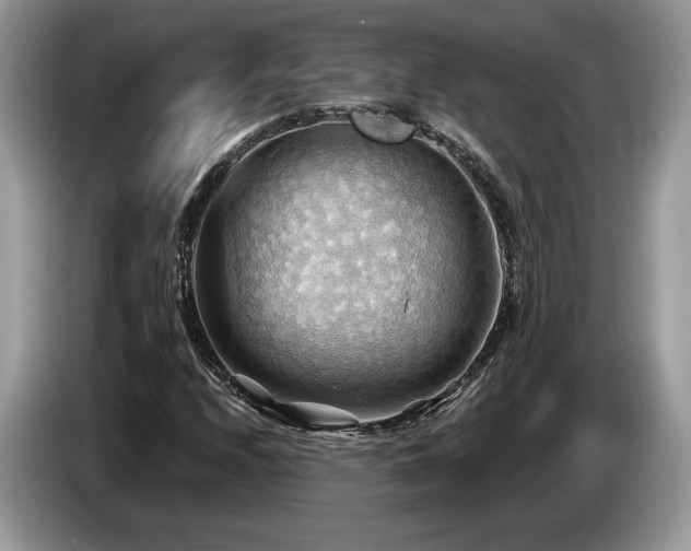 X0000087551208200704271202