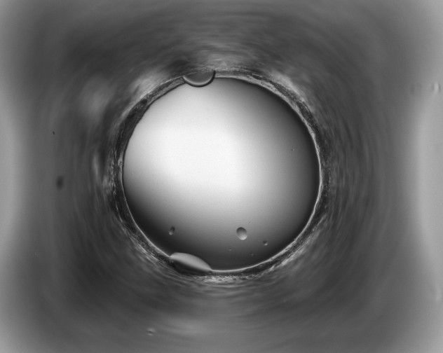 X0000087551211200704271202