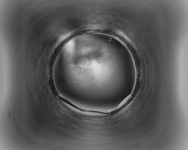 X0000087551213200704271202
