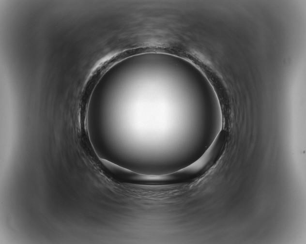 X0000087551214200704271202