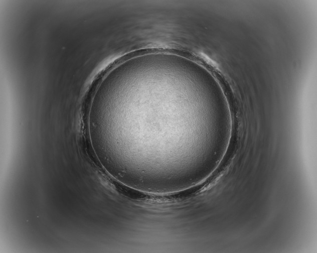 X0000087551215200704271202