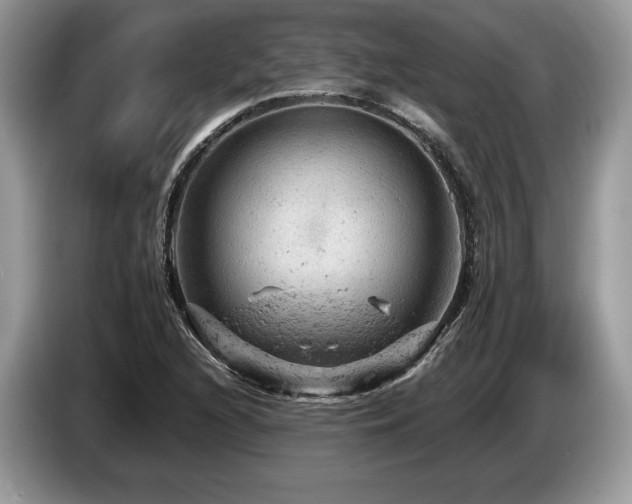 X0000087551216200704271202