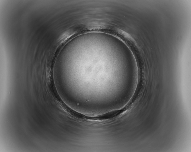 X0000087551217200704271202