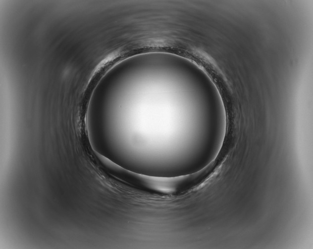 X0000087551218200704271202