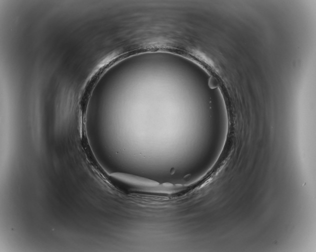 X0000087551219200704271202