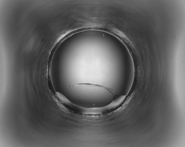 X0000087551220200704271202