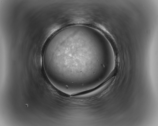 X0000087551221200704271202