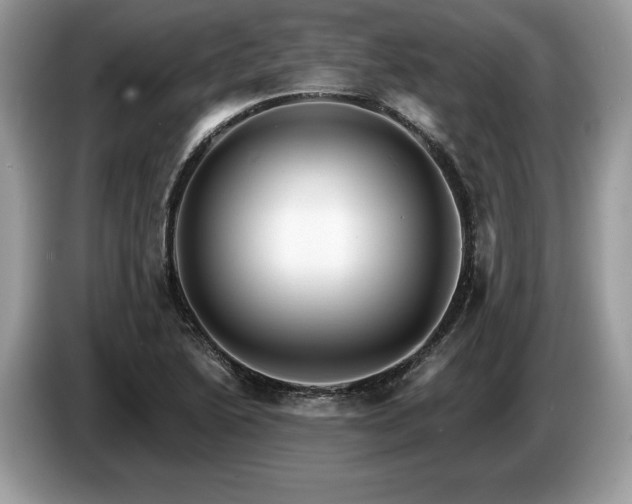 X0000087551222200704271202
