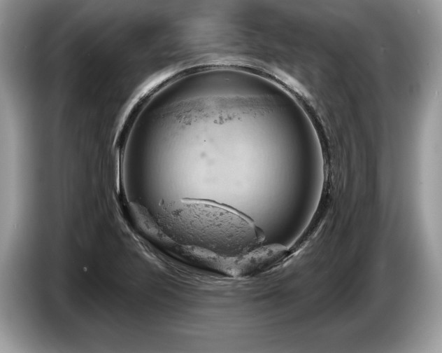 X0000087551223200704271202