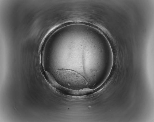 X0000087551224200704271202