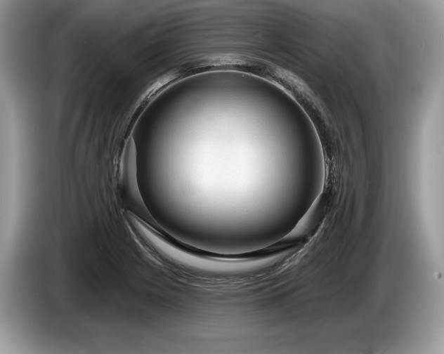 X0000087551225200704271202