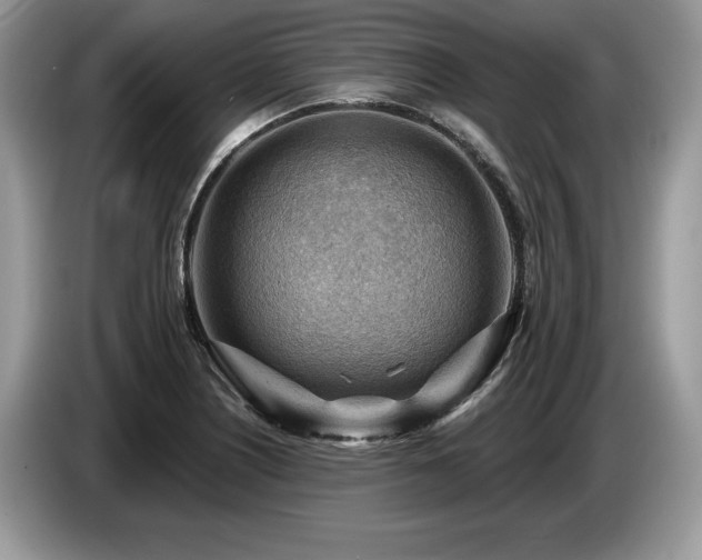 X0000087551226200704271202