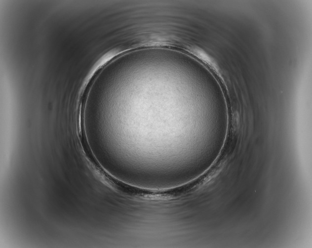 X0000087551227200704271202