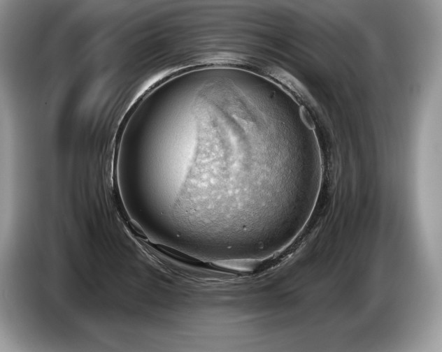 X0000087551228200704271202