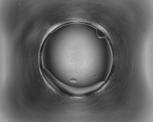 X0000087551231200704271202