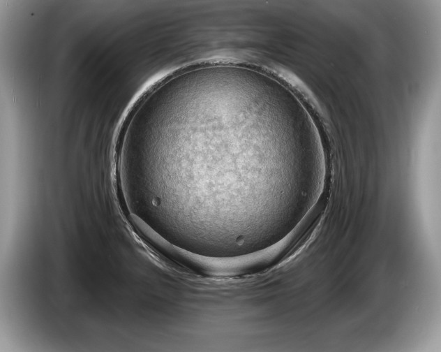 X0000087551232200704271202
