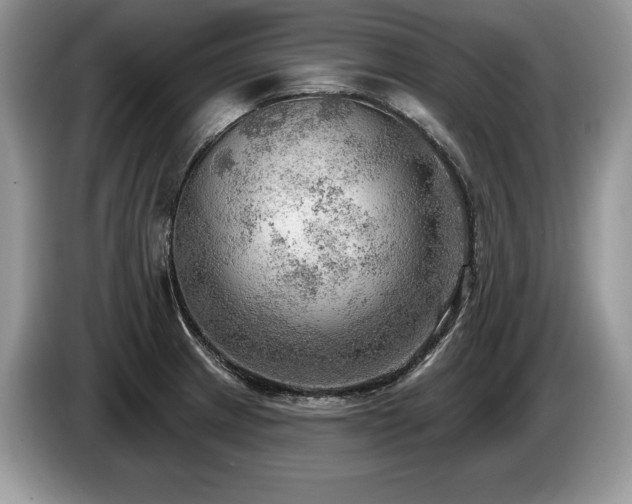 X0000087551233200704271202