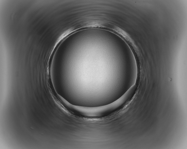 X0000087551234200704271202