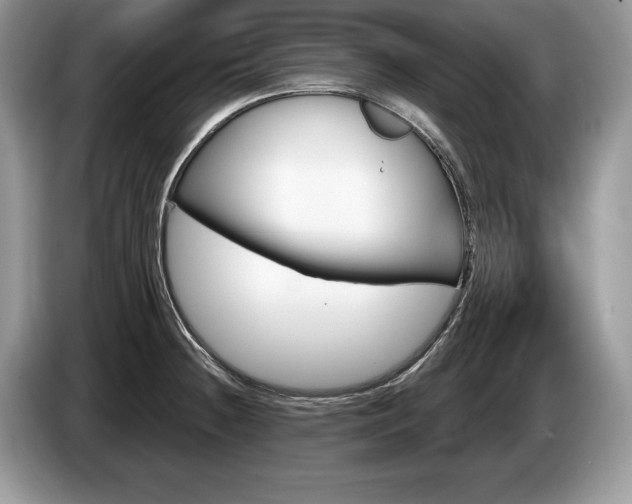X0000087551236200704271202