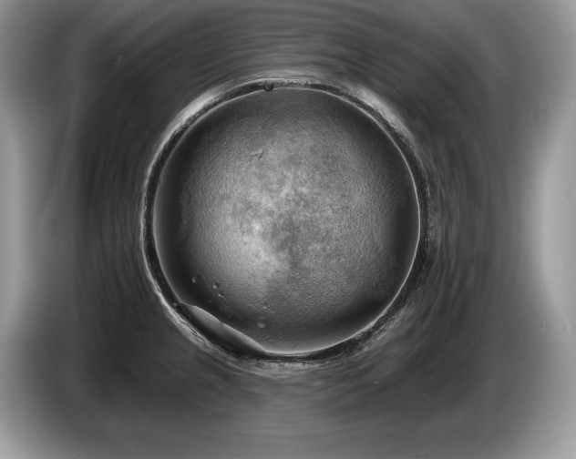 X0000087551237200704271202