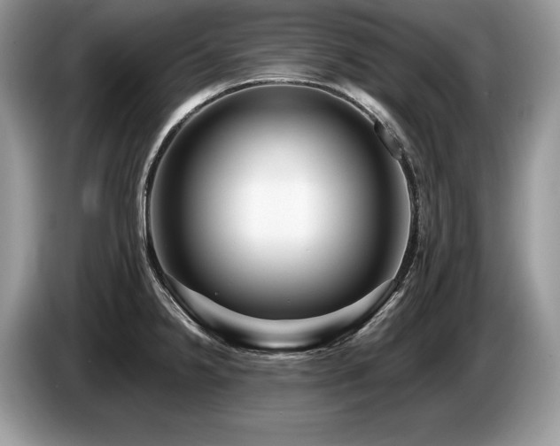 X0000087551238200704271202