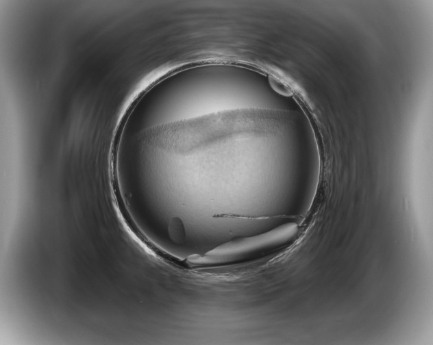 X0000087551239200704271202