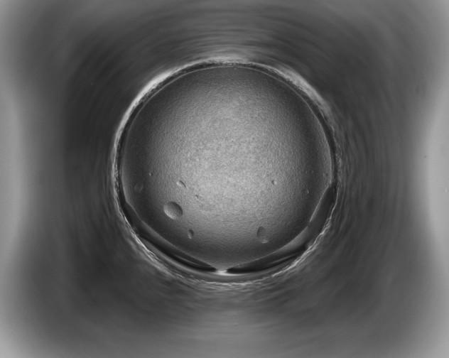 X0000087551240200704271203
