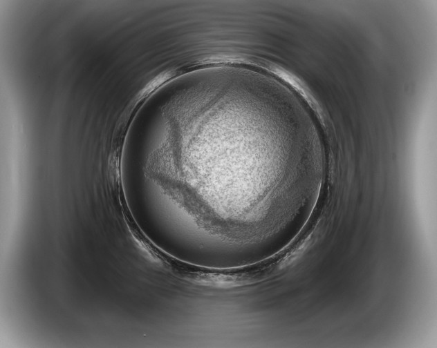 X0000087551241200704271203