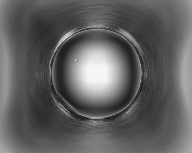 X0000087551242200704271203
