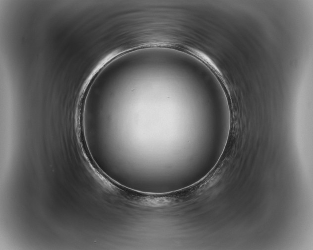 X0000087551243200704271203