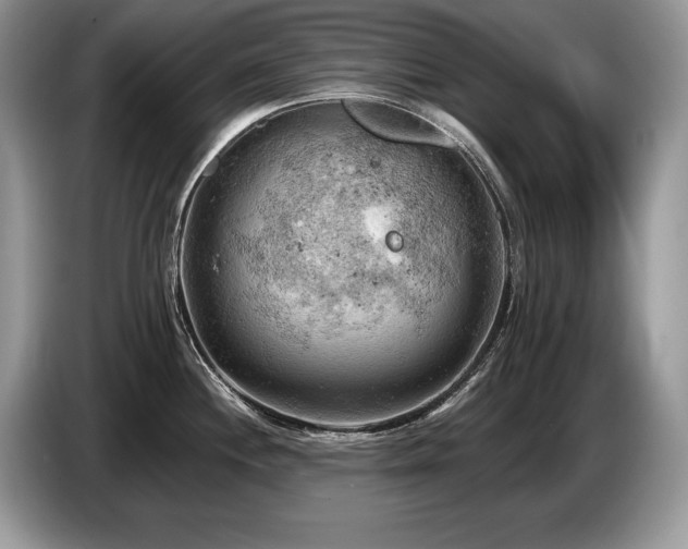 X0000087551244200704271203