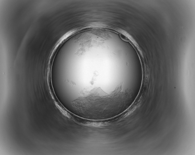 X0000087551245200704271203