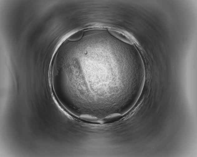 X0000087551247200704271203