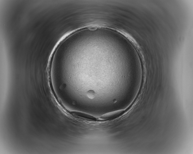 X0000087551248200704271203