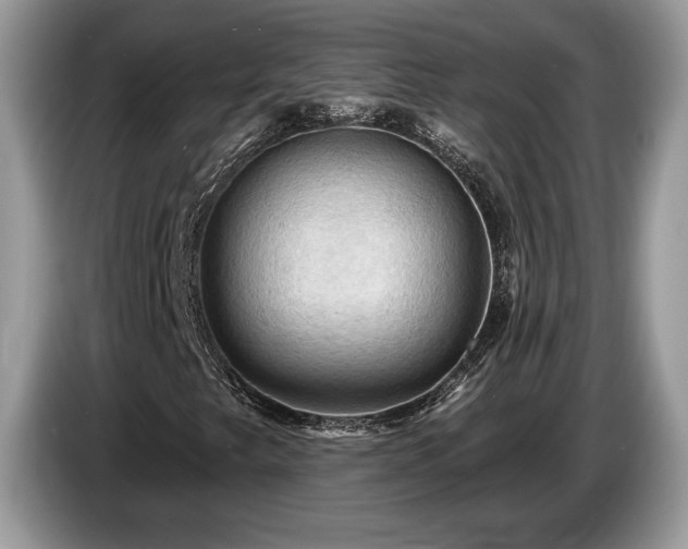 X0000087551249200704271202