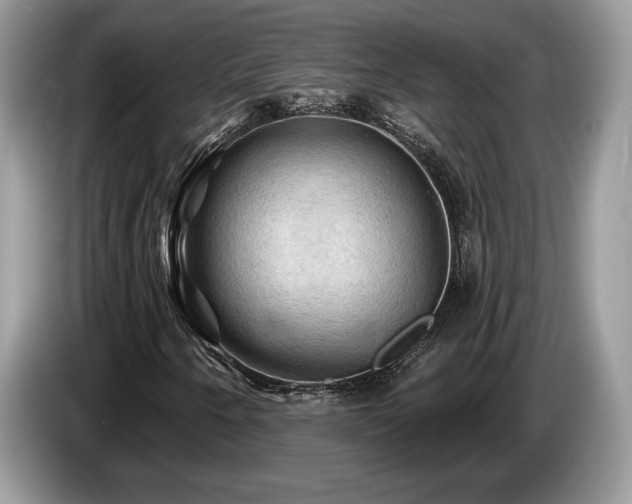 X0000087551250200704271202