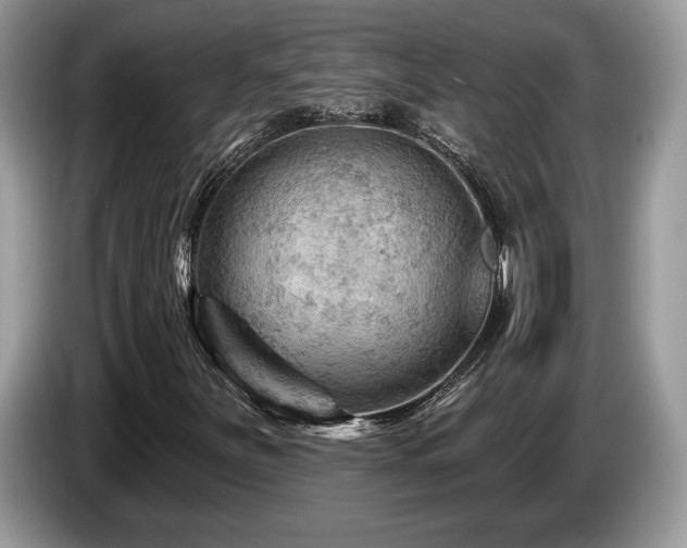 X0000087551251200704271202