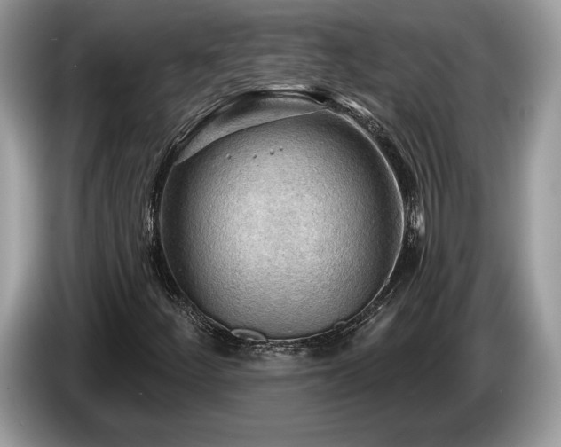 X0000087551252200704271202