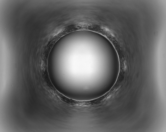 X0000087551253200704271202